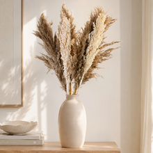 Malar pampas & sorghum stem bundle