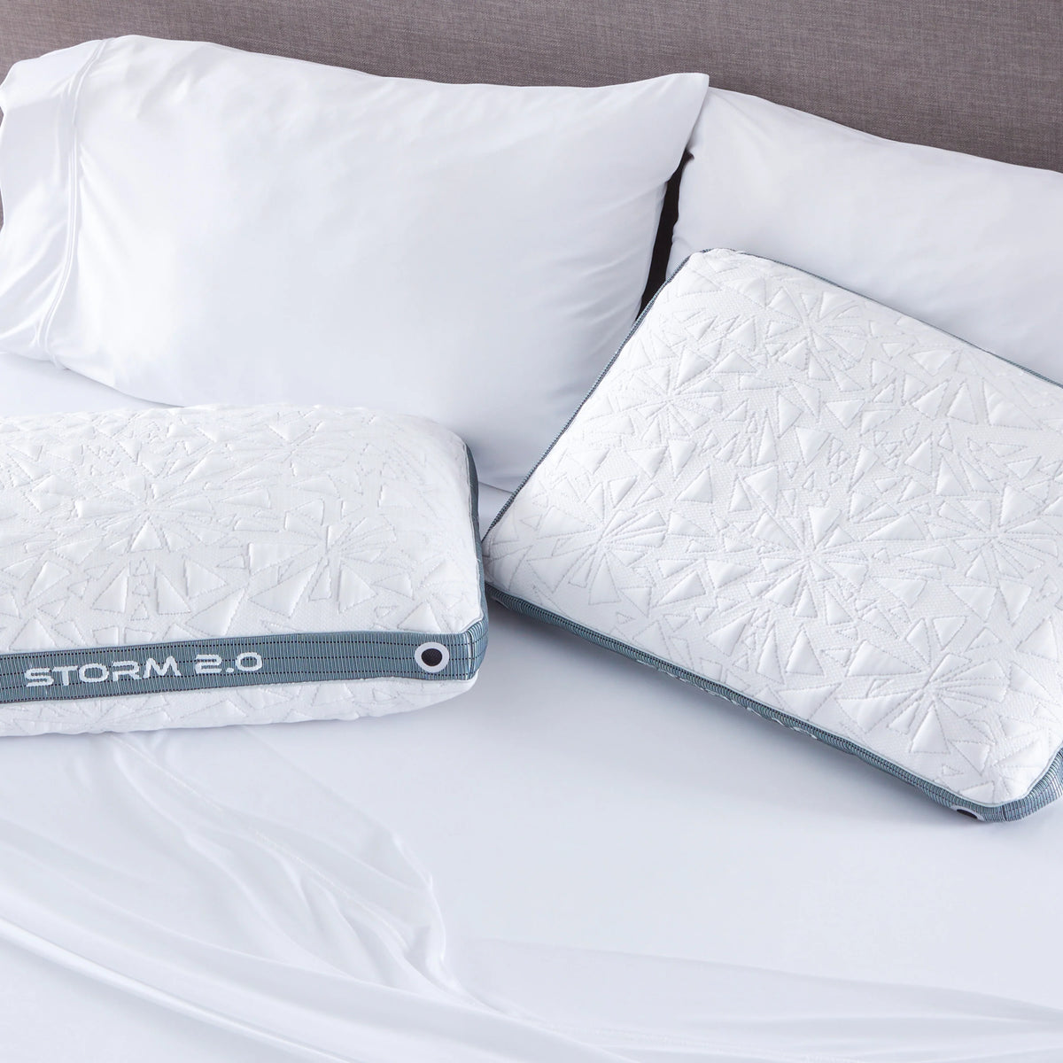 Storm 2022 Pillow - 1.0