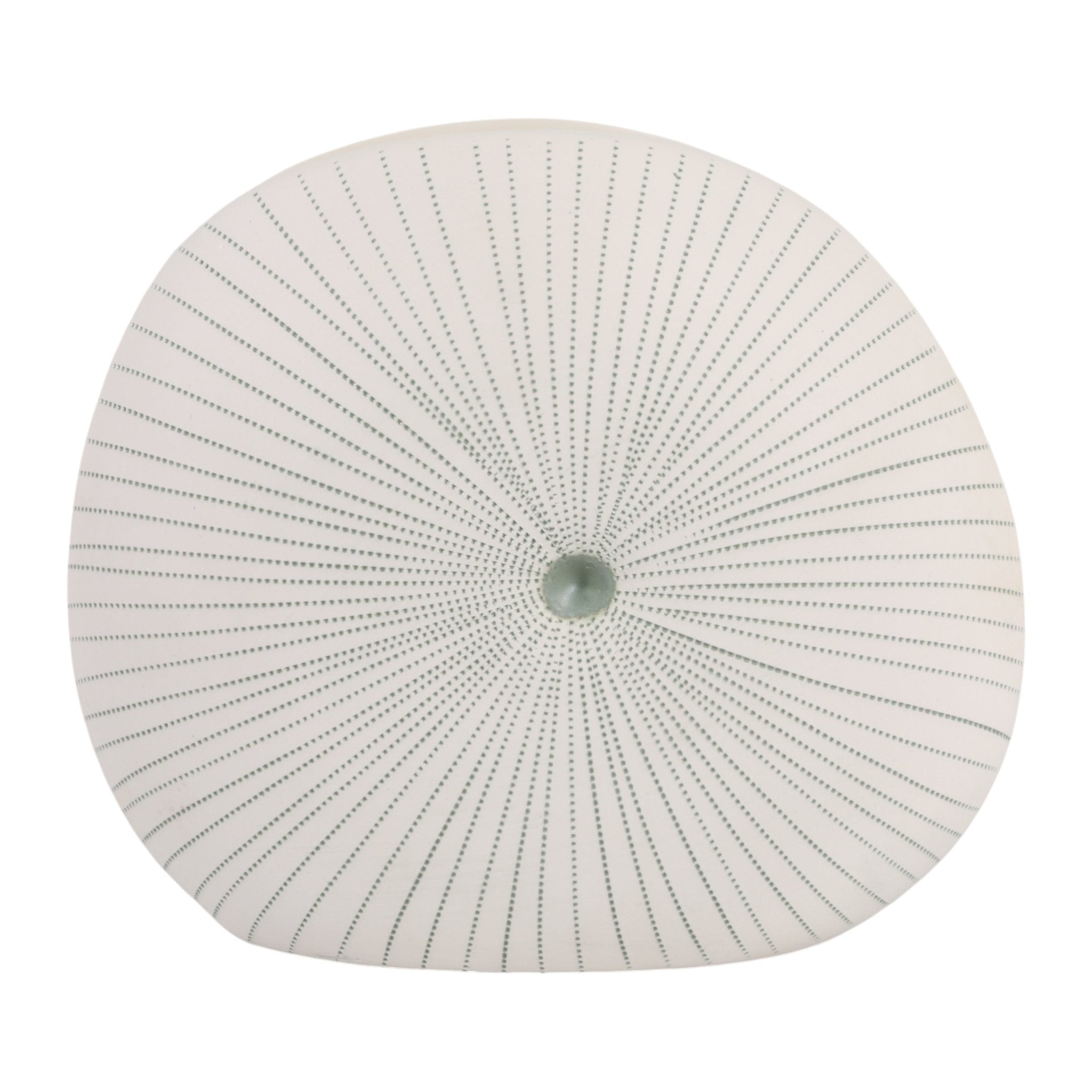 10x9" Round Dotted Shell Vase, White/green Vases and Jars| Sagebrook Home