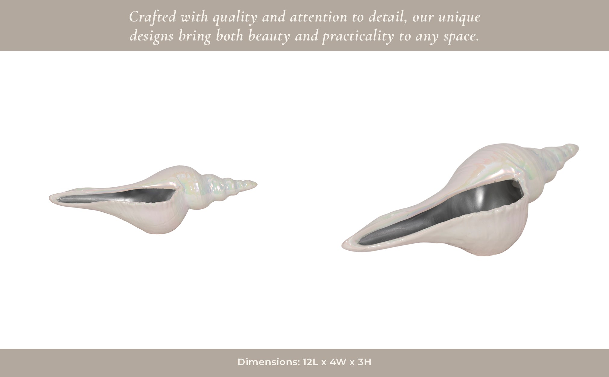 12" Long Iridescent Seashell With Silver, Ivory/si Table Decors| Sagebrook Home