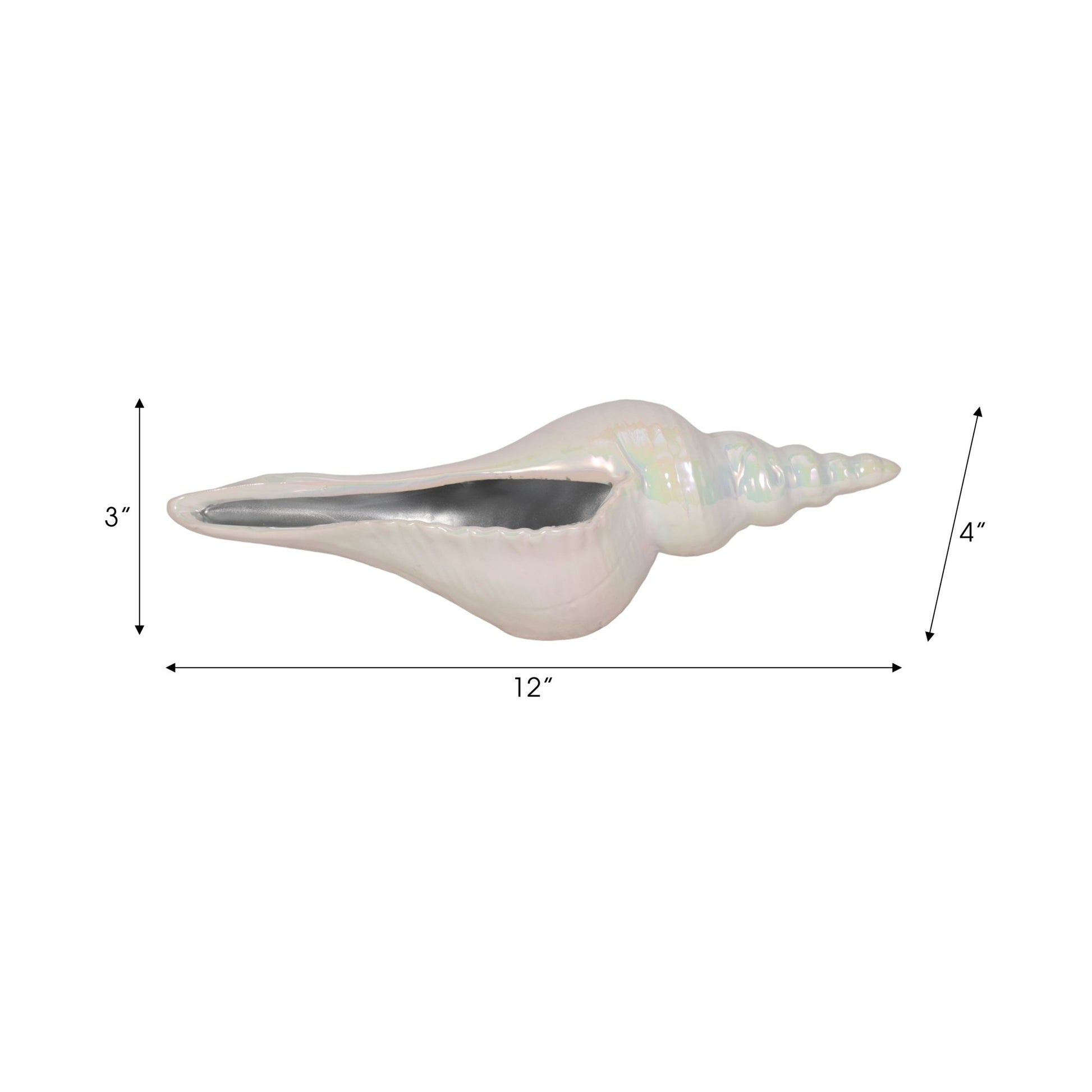 12" Long Iridescent Seashell With Silver, Ivory/si Table Decors| Sagebrook Home
