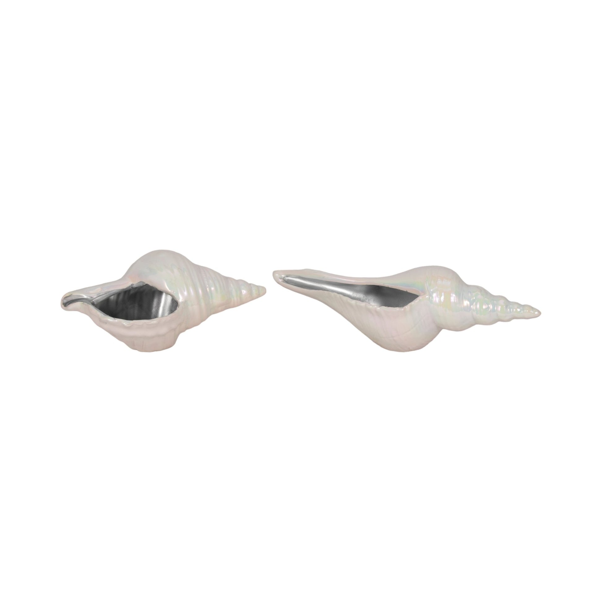 12" Long Iridescent Seashell With Silver, Ivory/si Table Decors| Sagebrook Home