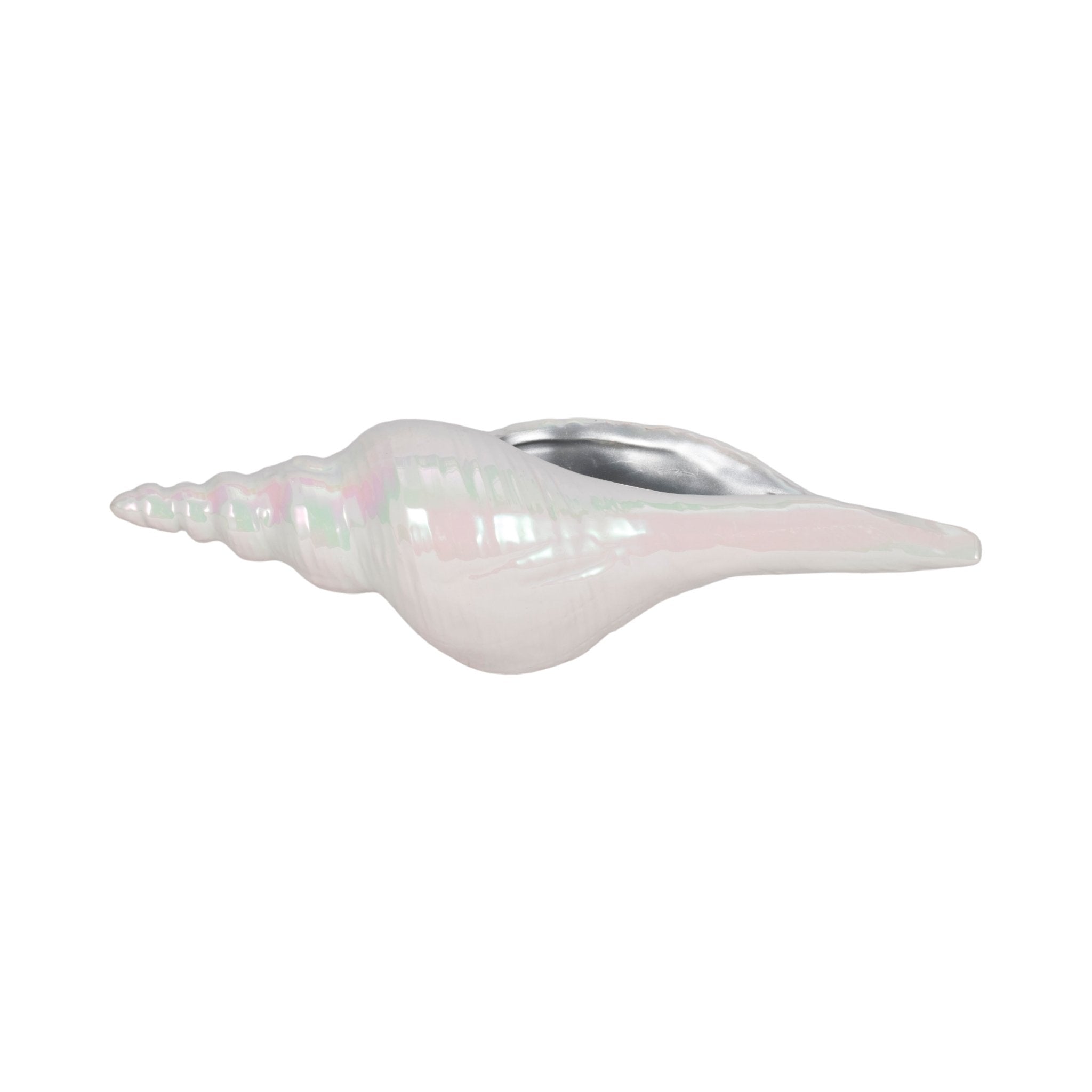 12" Long Iridescent Seashell With Silver, Ivory/si Table Decors| Sagebrook Home