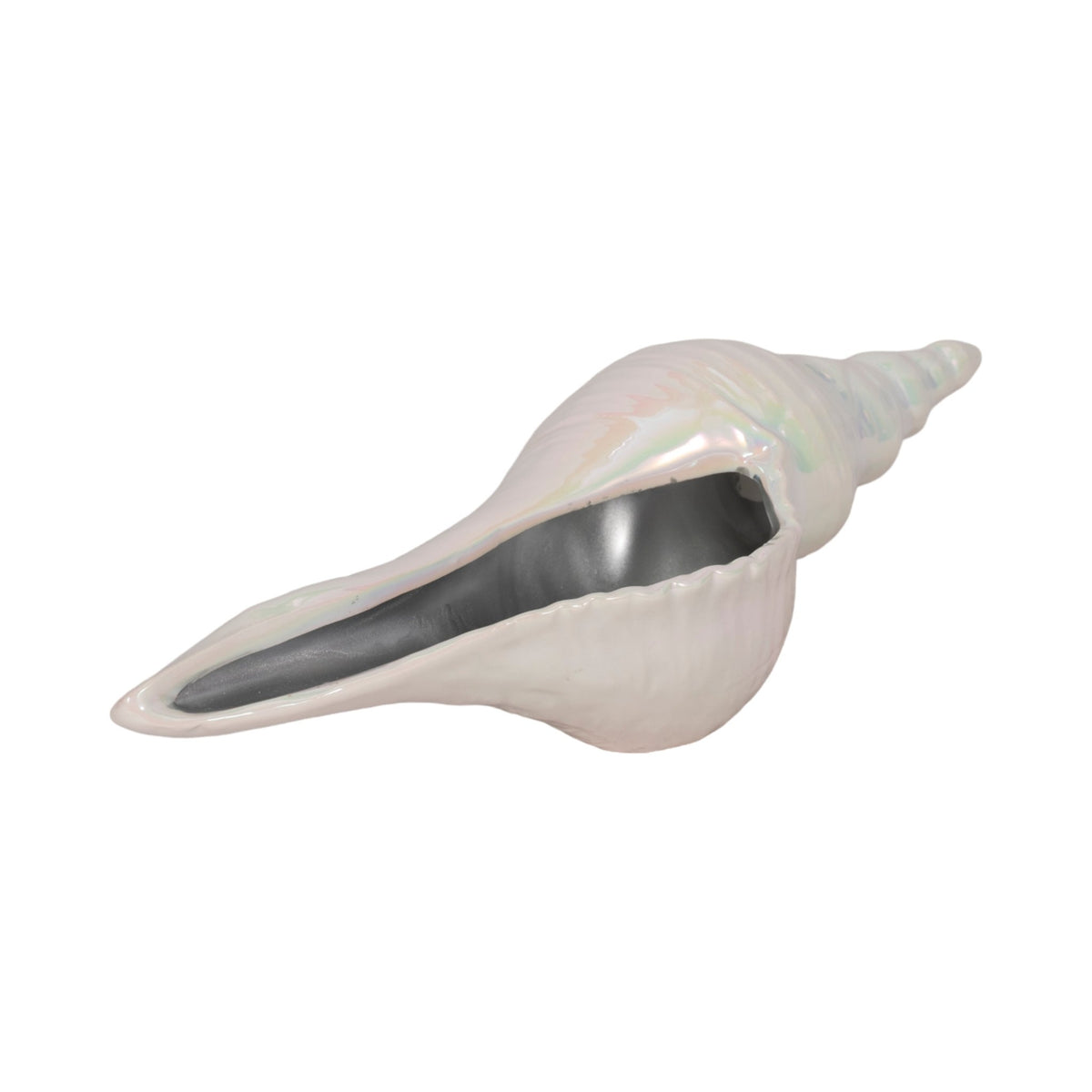 12" Long Iridescent Seashell With Silver, Ivory/si Table Decors| Sagebrook Home