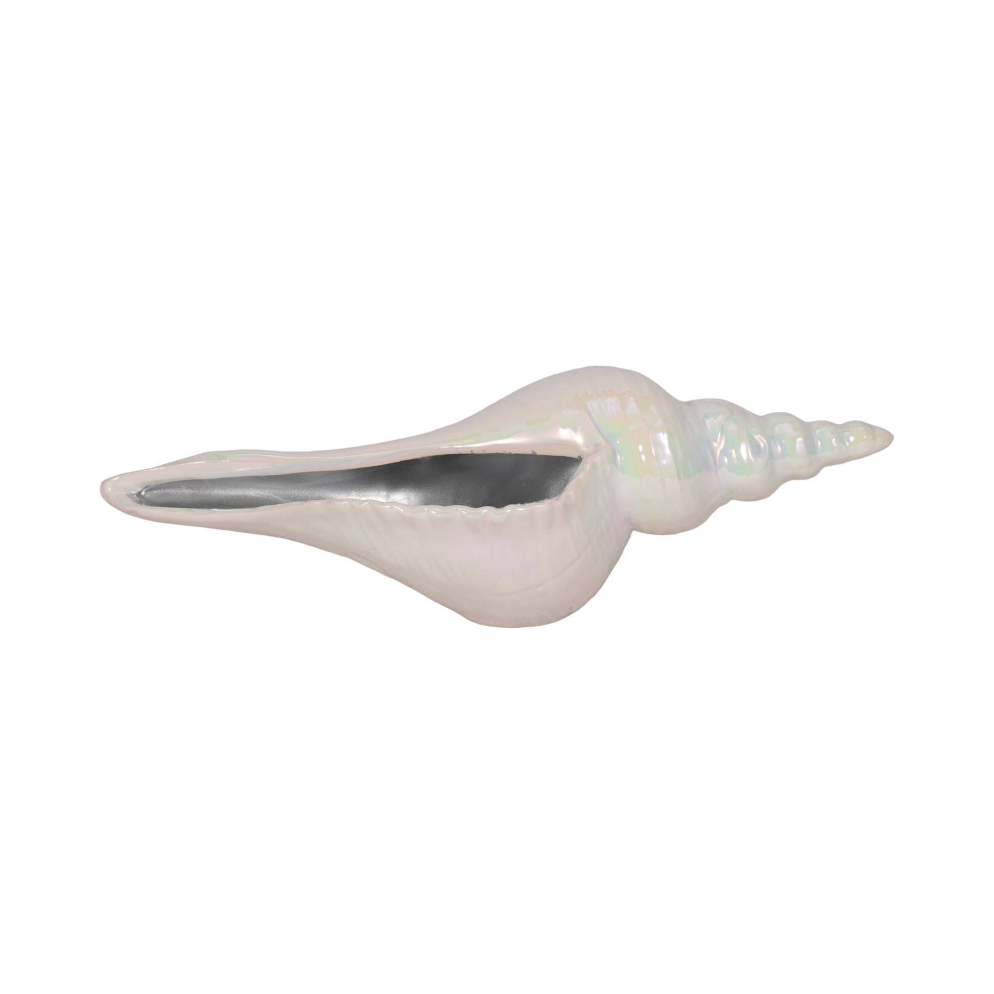 12" Long Iridescent Seashell With Silver, Ivory/si Table Decors| Sagebrook Home