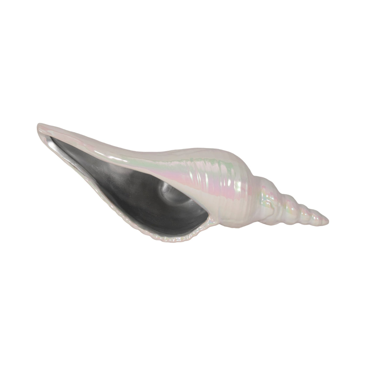 12" Long Iridescent Seashell With Silver, Ivory/si Table Decors| Sagebrook Home