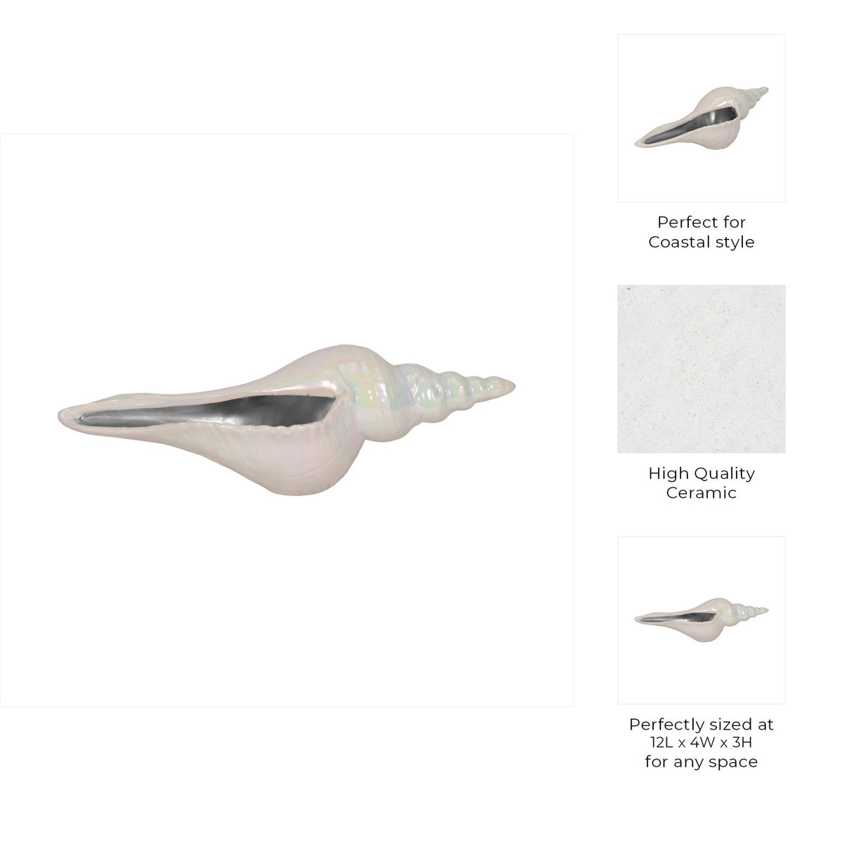 12" Long Iridescent Seashell With Silver, Ivory/si Table Decors| Sagebrook Home