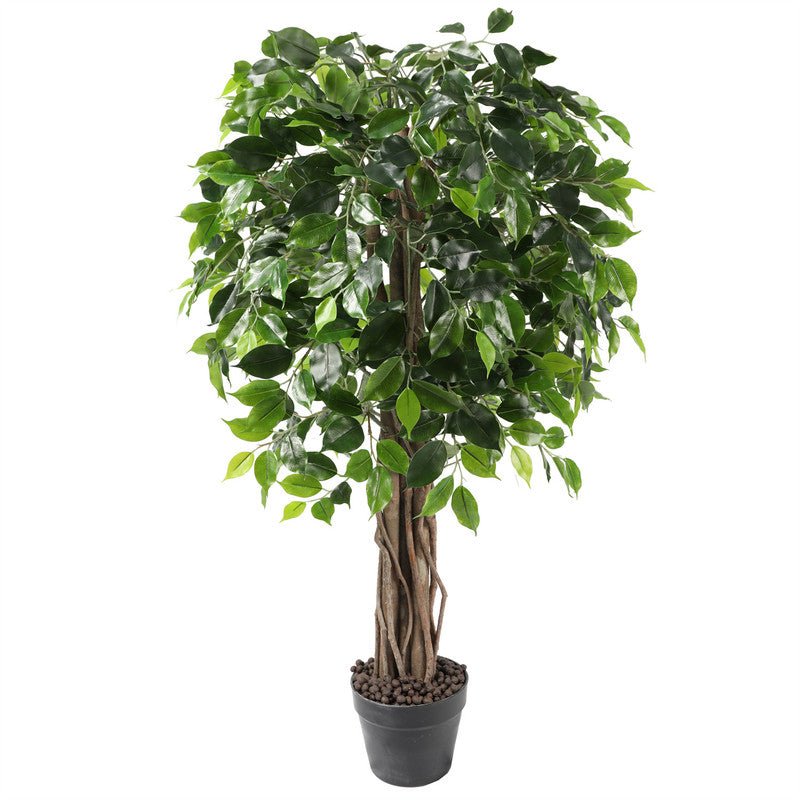120CM Wood Trunk Ficus Tree Indoor Plants| Roots Furniture