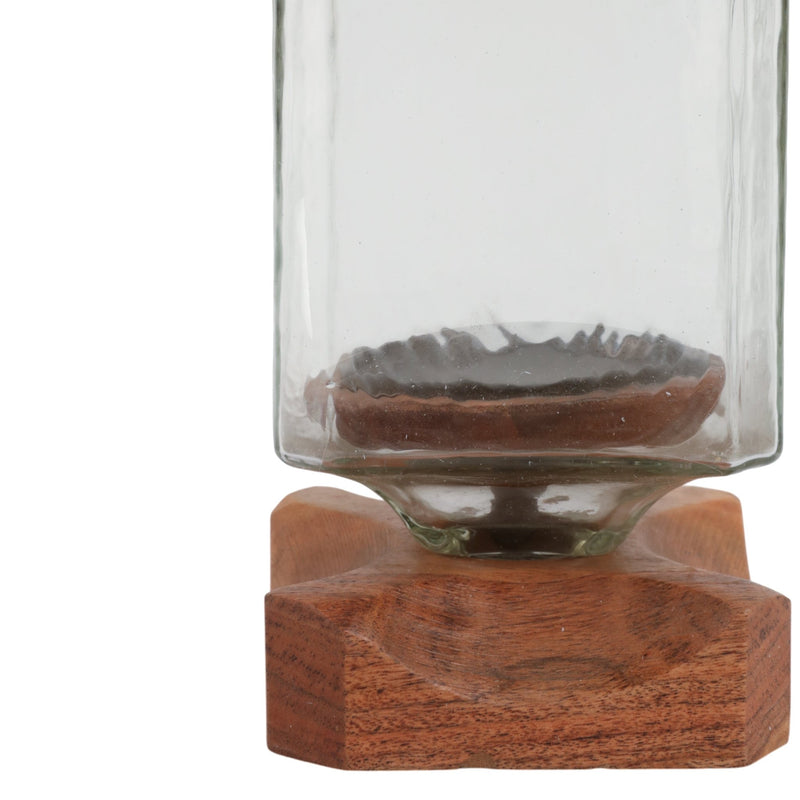 13" Jarvie Lrge Wood & Glass Candle Hurricane,brwn - Al Rugaib Furniture