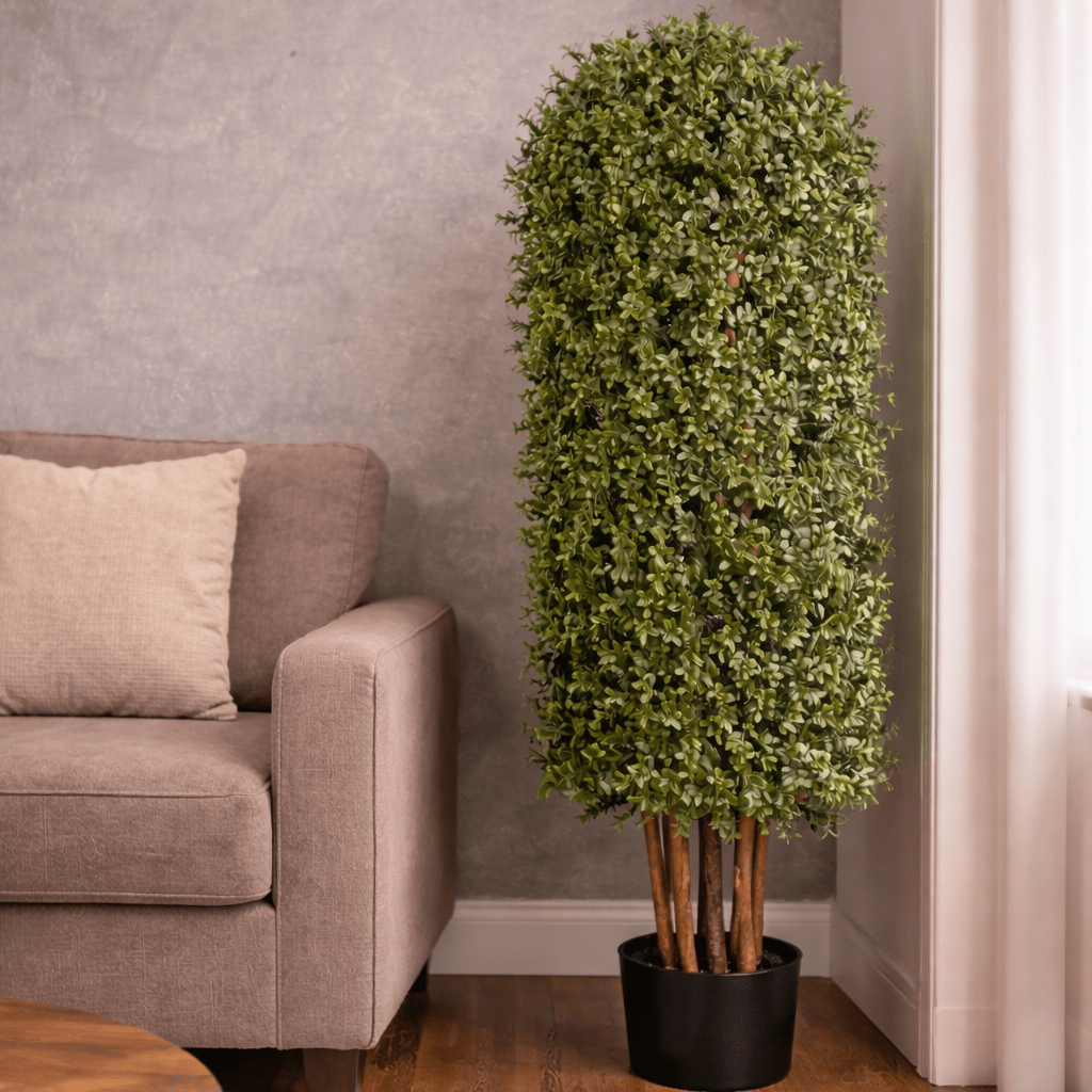 150CM Height Buxus Column Tree Outdoor UV Protected Plants| Roots Furniture