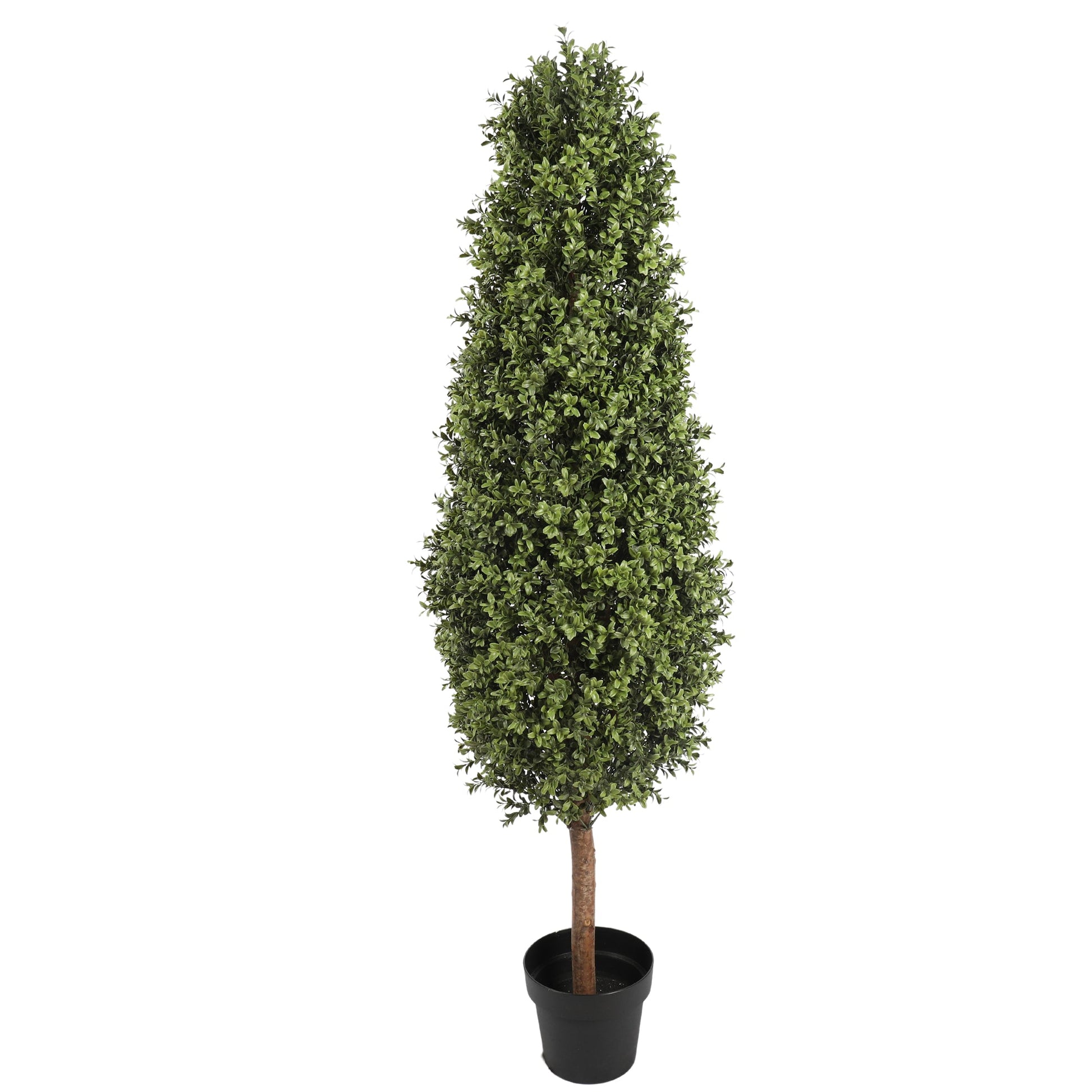 150CM Height Buxus Oval Tree Outdoor UV Protected Plants| Roots Furniture