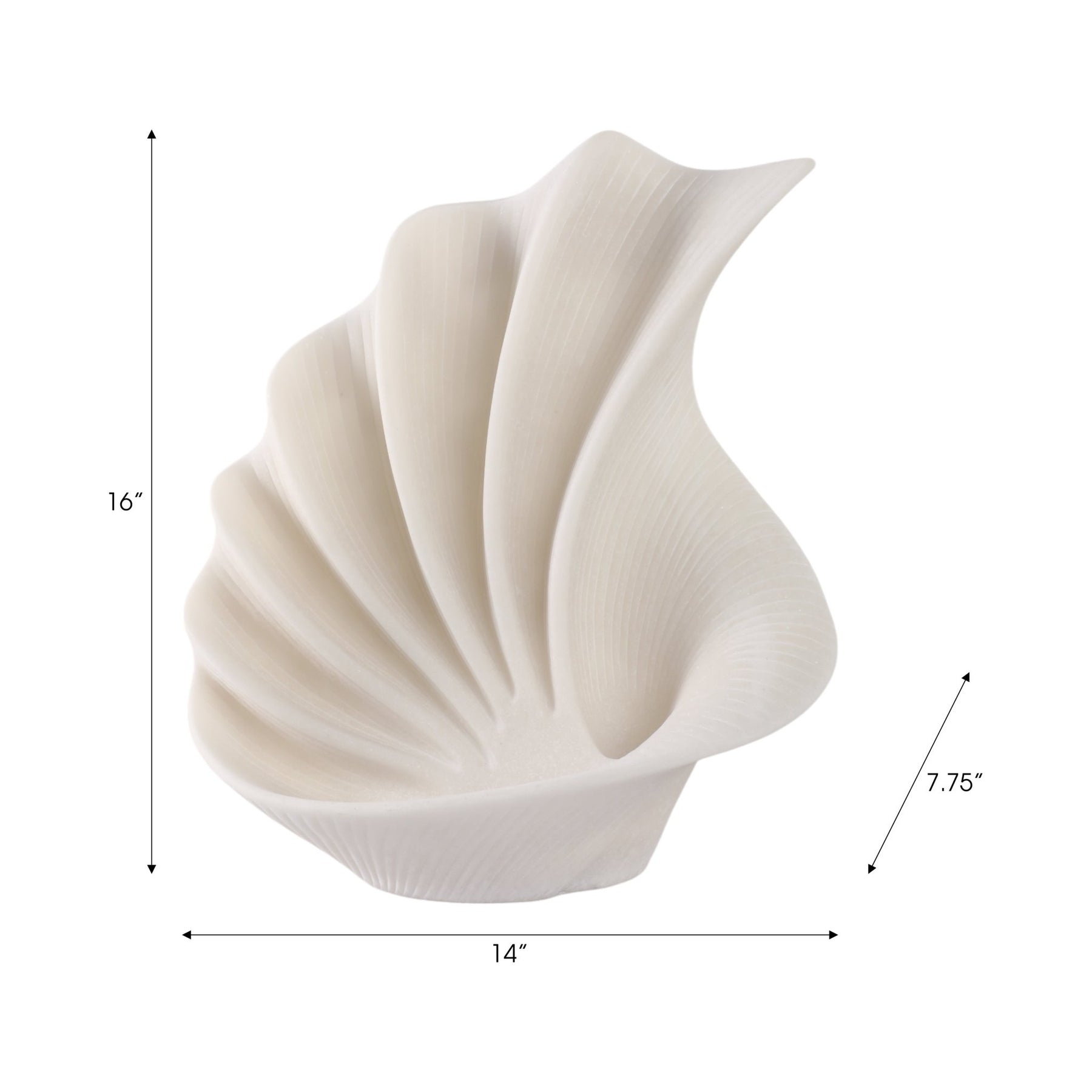 Statuary Shells 16
