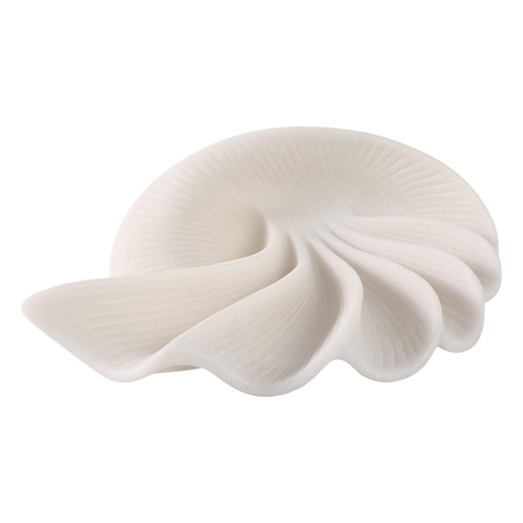 Statuary Shells 16