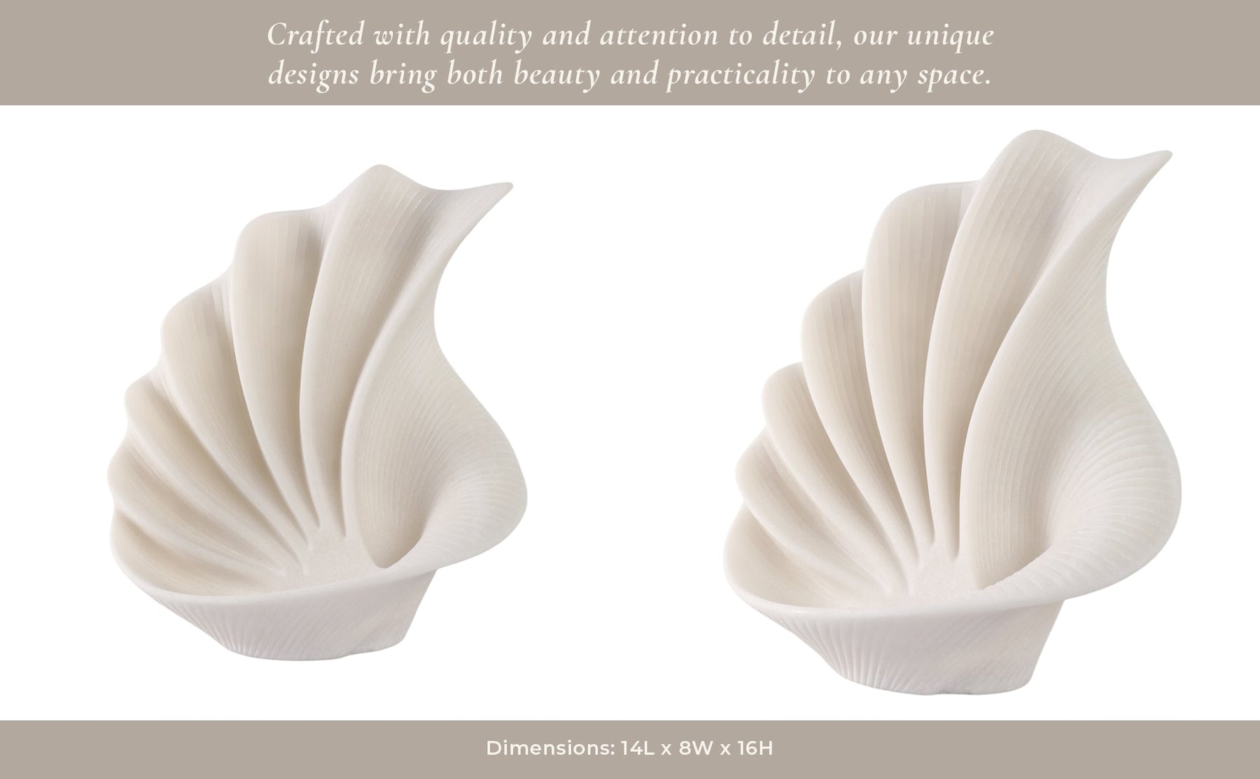 Statuary Shells 16