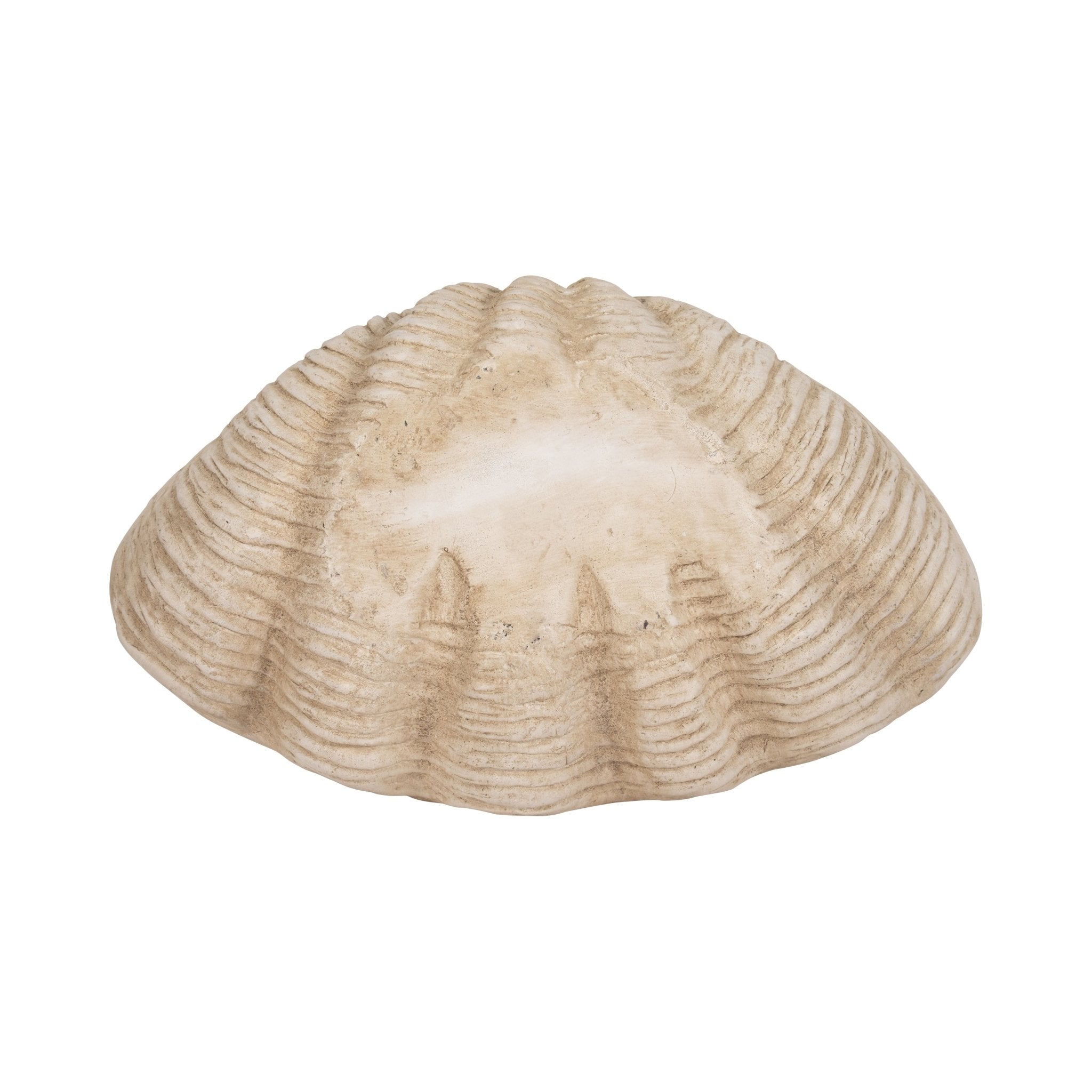 16" Pearlized Shell Bowl, Ivory Table Decors| Sagebrook Home
