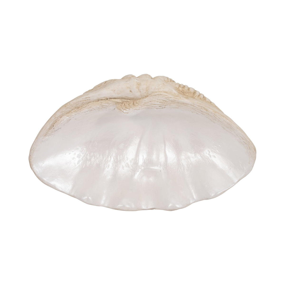 16" Pearlized Shell Bowl, Ivory Table Decors| Sagebrook Home