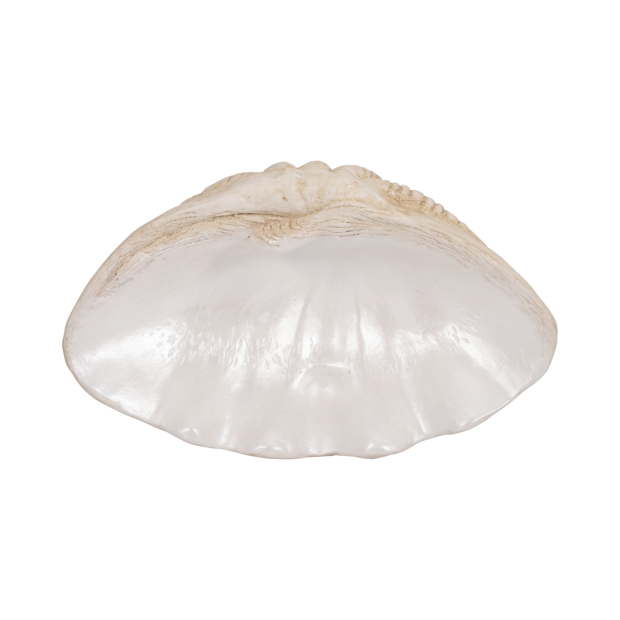 16" Pearlized Shell Bowl, Ivory Table Decors| Sagebrook Home