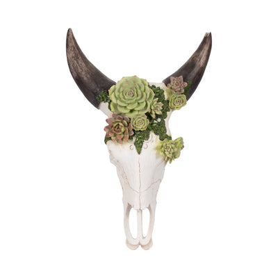 18" Bull Skull With Succulents, Multi - Al Rugaib Furniture