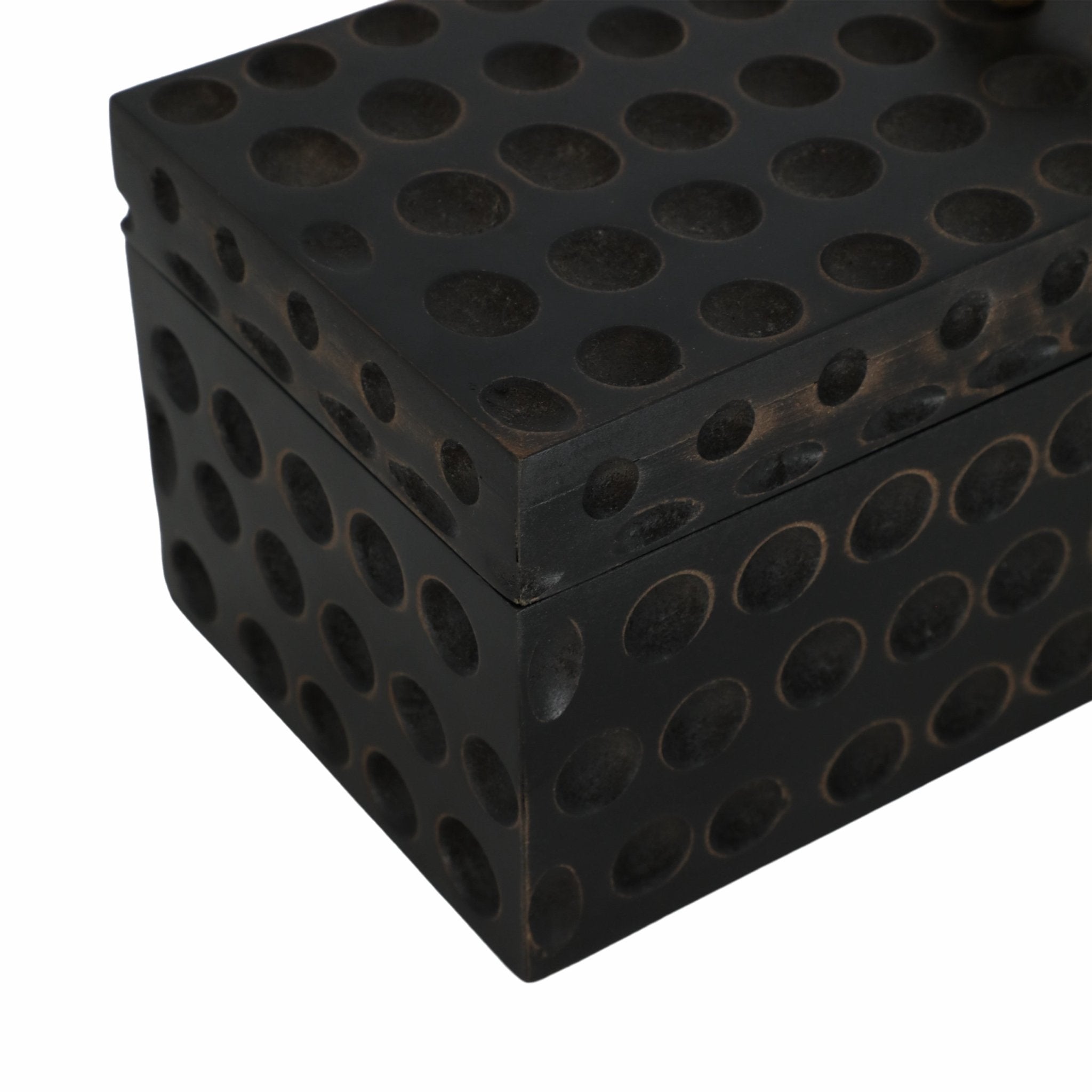 18" Griffon Black Wood Box Table Decors| Sagebrook Home