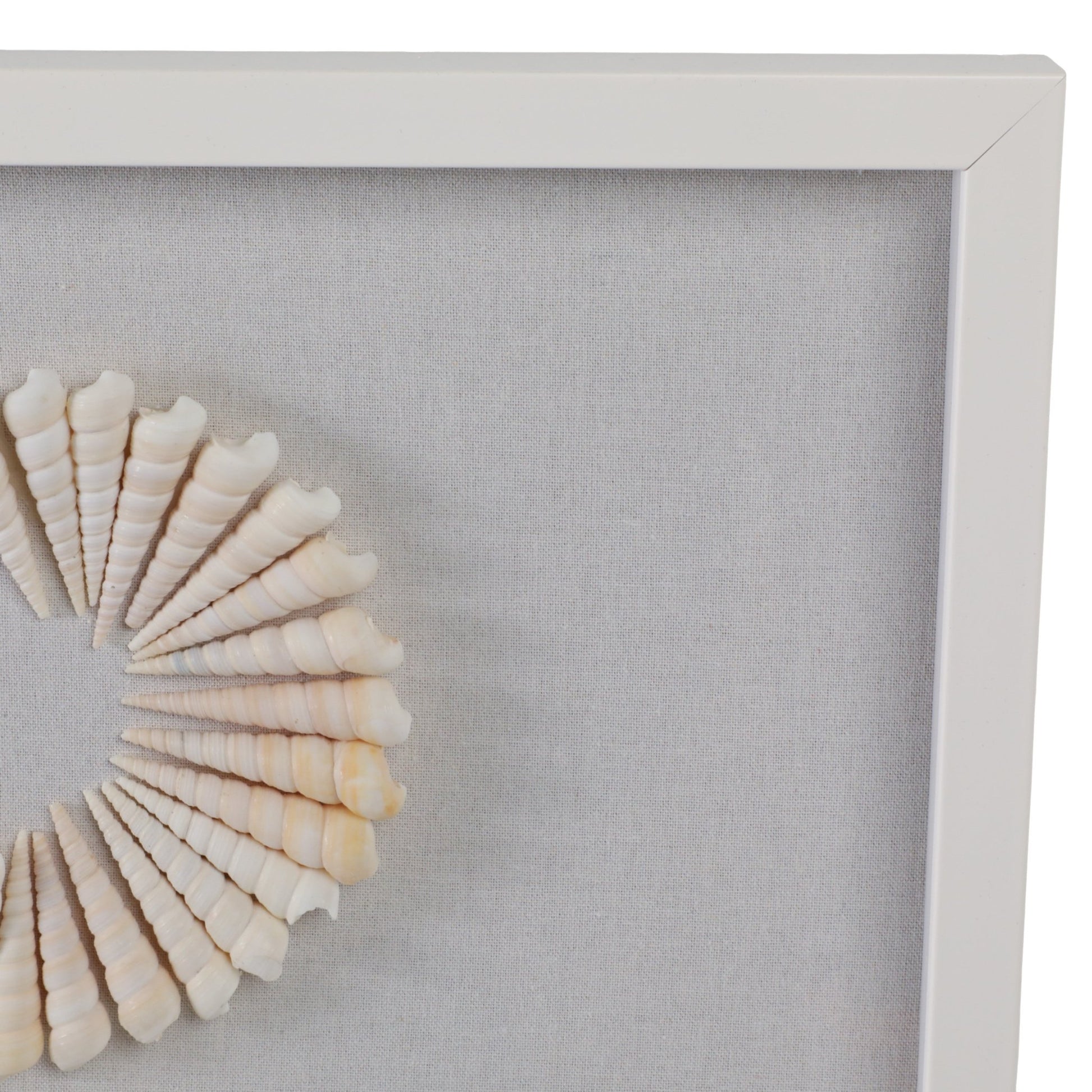 18x40 Atlantis Shell Shadowbox Art Wall Art| Sagebrook Home