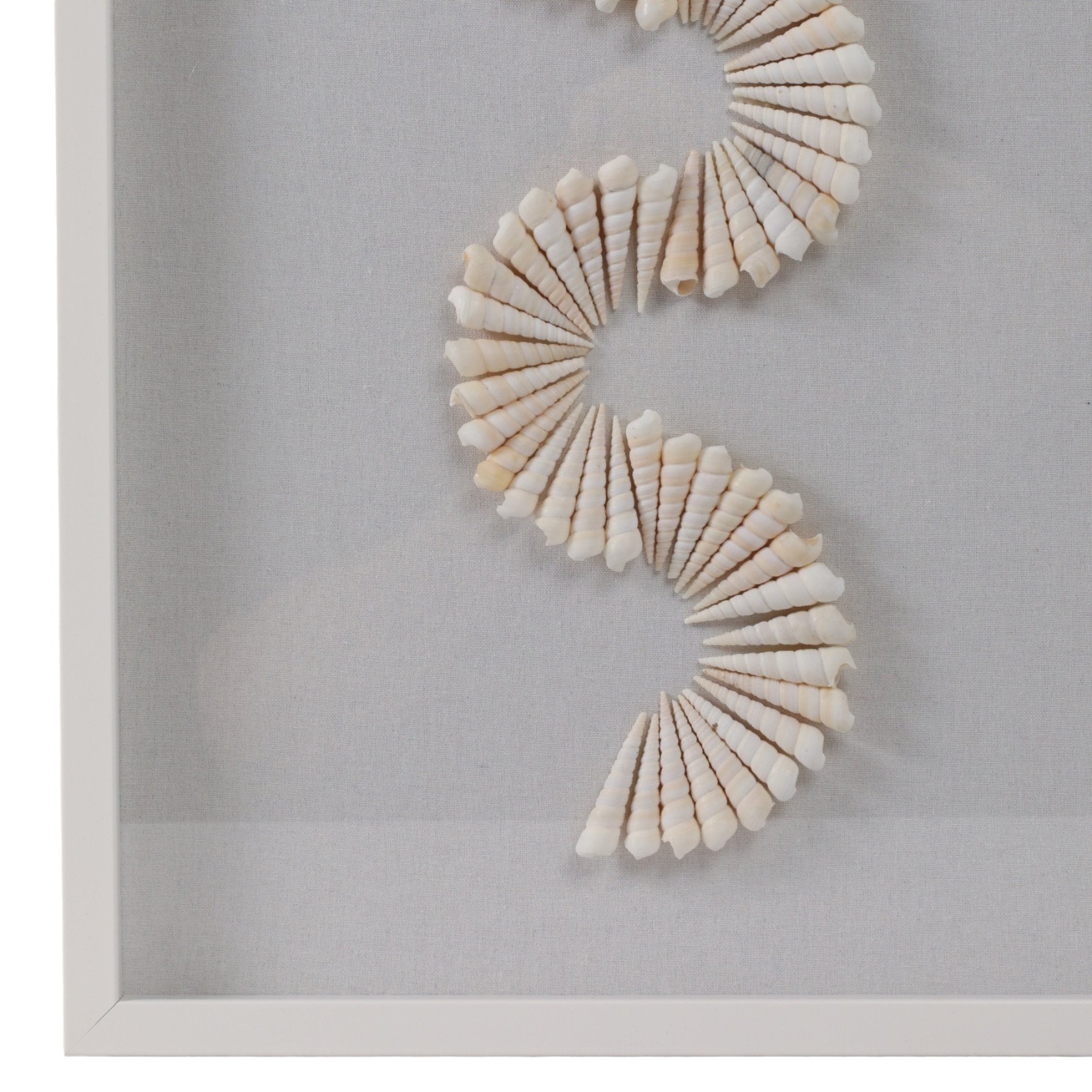 18x40 Atlantis Shell Shadowbox Art Wall Art| Sagebrook Home