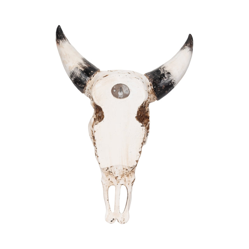 19" Western Bull Skull, Brown - Al Rugaib Furniture