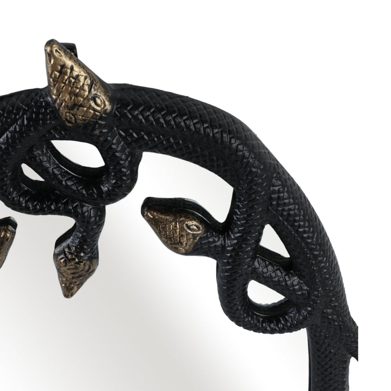 28x22" Snake Mirror, Blk/gld - Al Rugaib Furniture