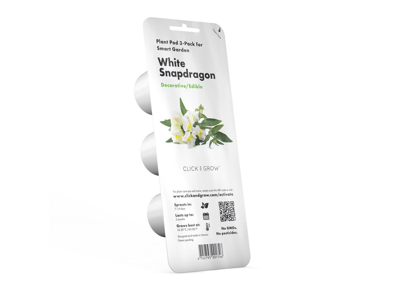 Click & Grow White Snapdragon / 3-pack