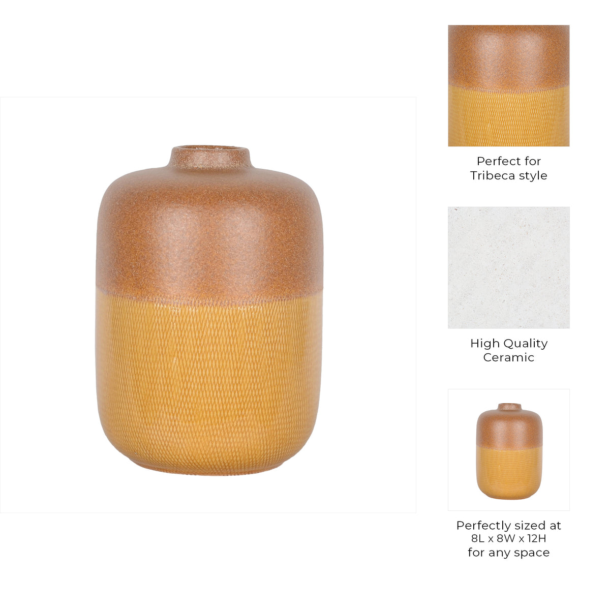 فاز بريغنز Bregenz Vase