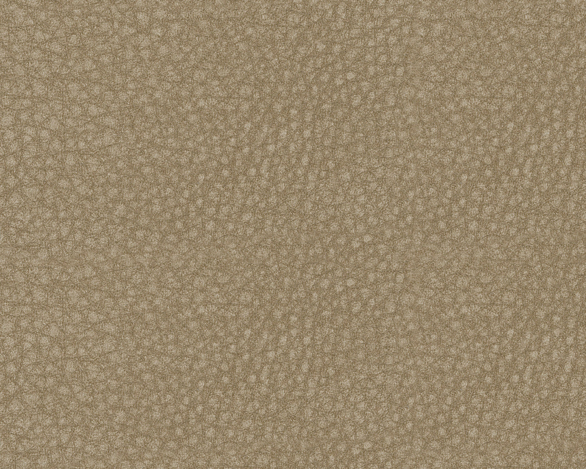 Next-Gen Durapella