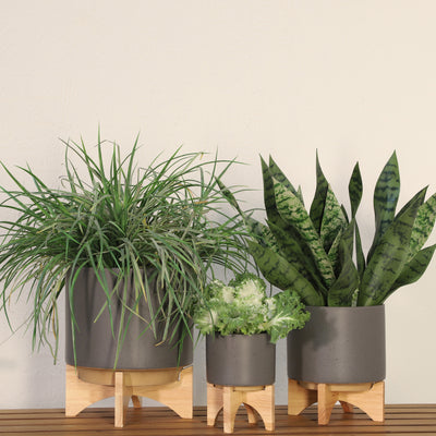 5 PLANTER W/ WOOD STAND, MATTE GRAY