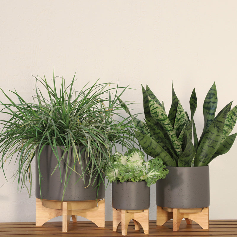 5 PLANTER W/ WOOD STAND, MATTE GRAY