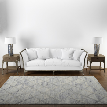 Ruda Gray and White Rug