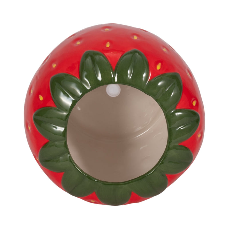 7" Strawberry Planter, Red/green - Al Rugaib Furniture