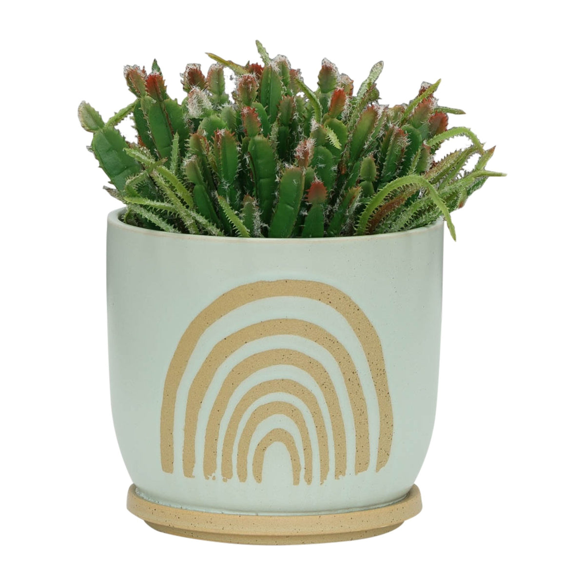 8" ARCH PLANTER W/ SAUCER, MINT Outdoor Planters| Sagebrook Home