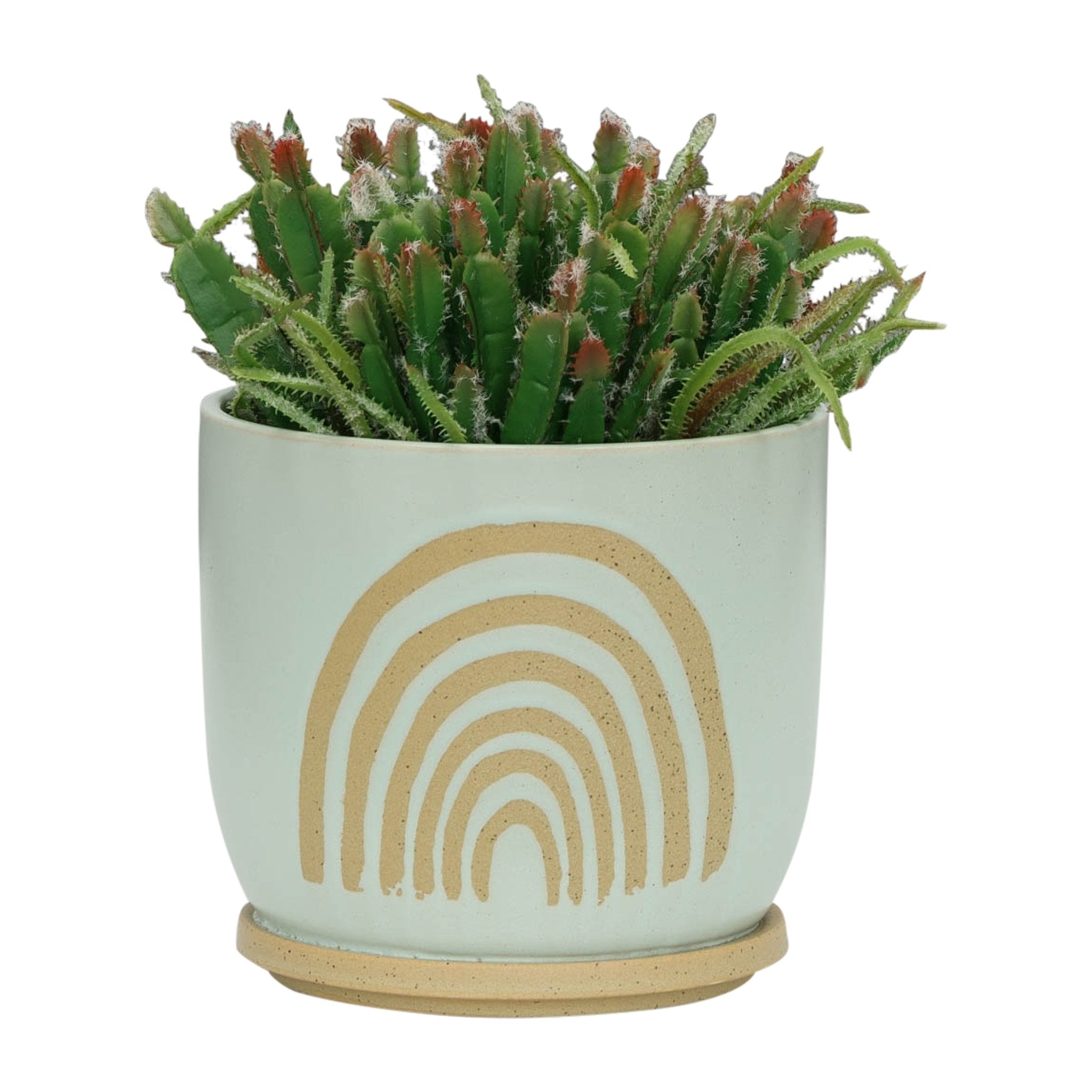 8" ARCH PLANTER W/ SAUCER, MINT Outdoor Planters| Sagebrook Home