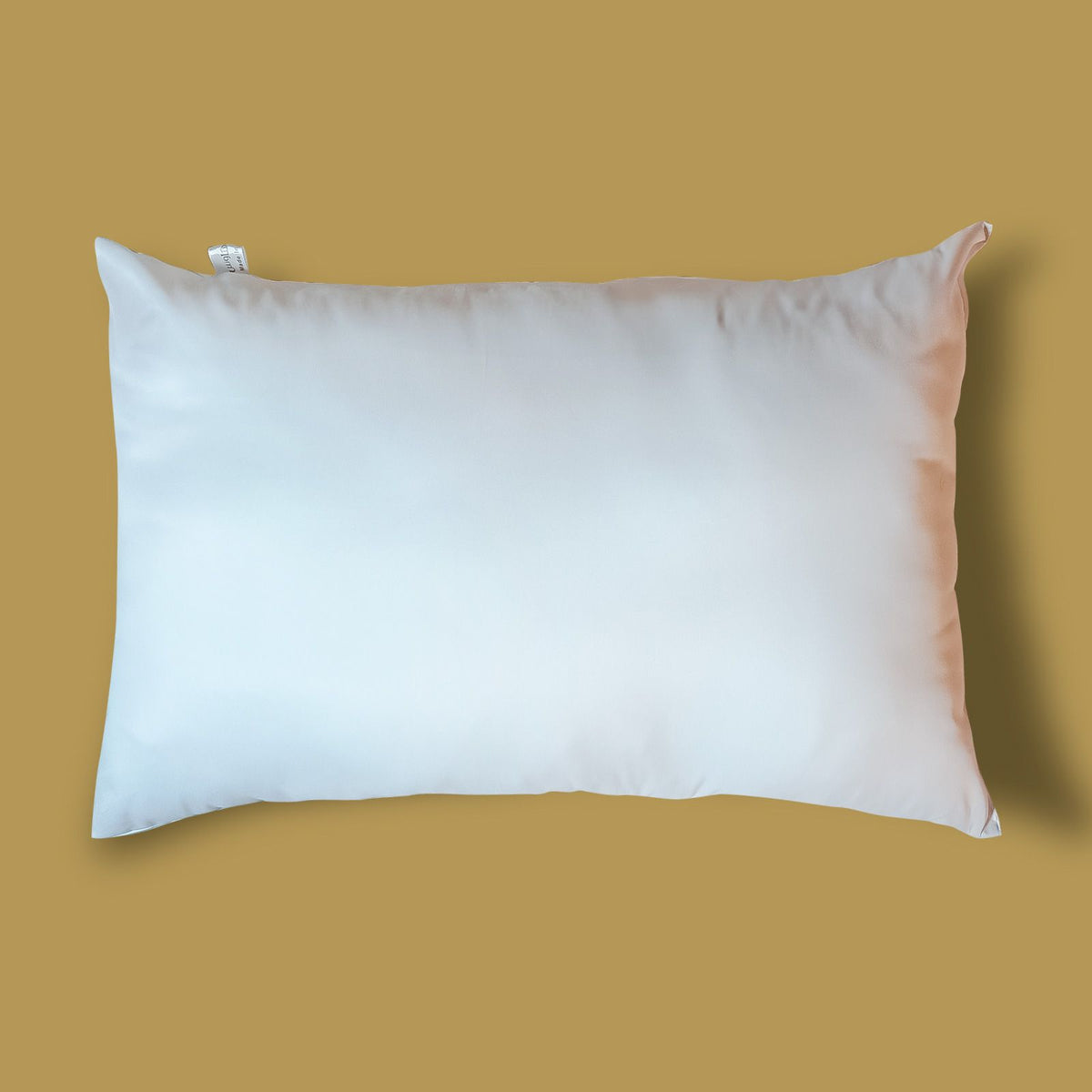 Double-Face Pillow, Cotton and Polyester 75×50×15