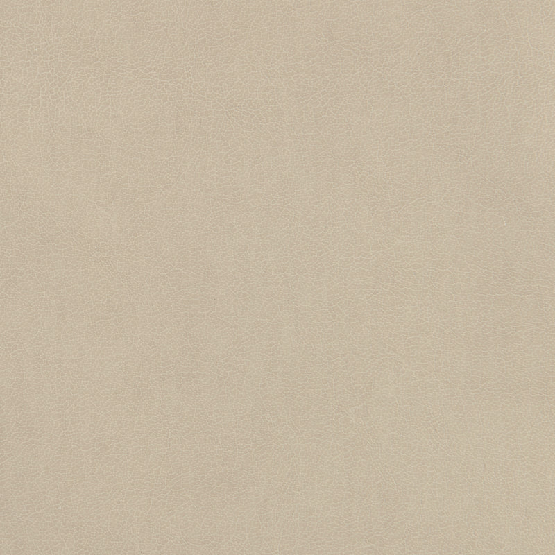 Caracole Classic - Tall Order Arm Chair