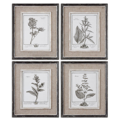 Casual Grey Study Framed Prints, S/4