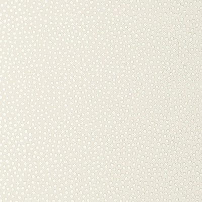 DAVIS DOT,Non Woven Wallpaper