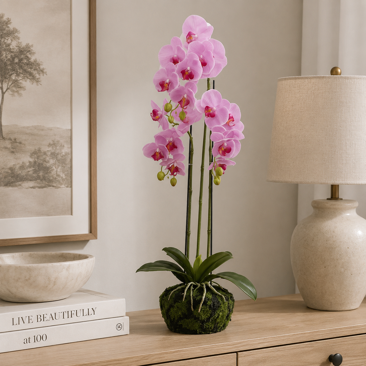 BUTTERFLY ORCHID