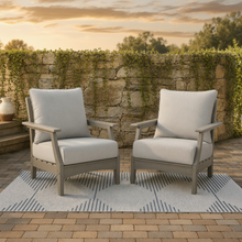 Visola Lounge Chair with Cushion (Set of 2)