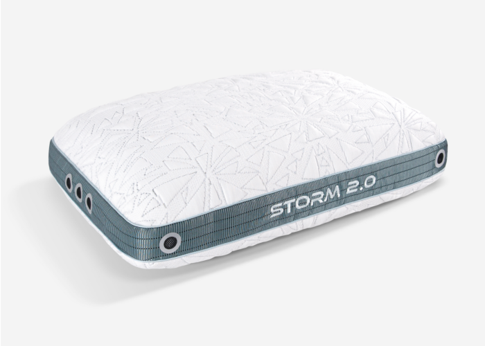 Storm 2022 Pillow 2.1