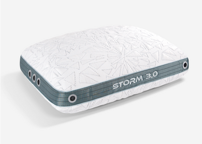 Storm 2022 Pillow 3.1