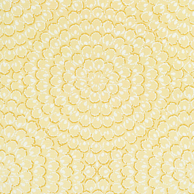 ASTER,String Wallpaper