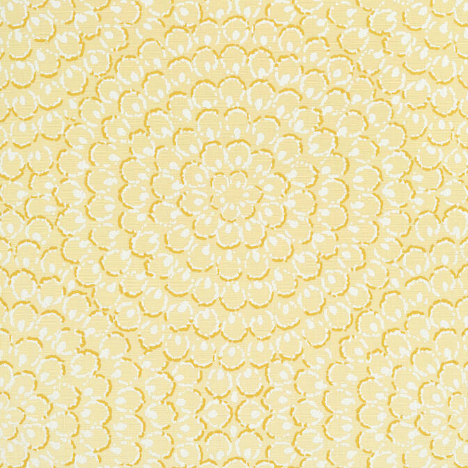 ASTER,String Wallpaper