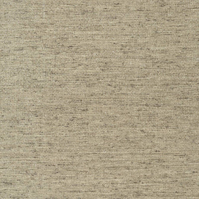ARROWROOT,Embossed Vinyl Woven Wallpaper