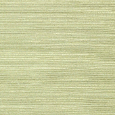 TALUK SISAL,Non-Woven Vinyl Wallpaper