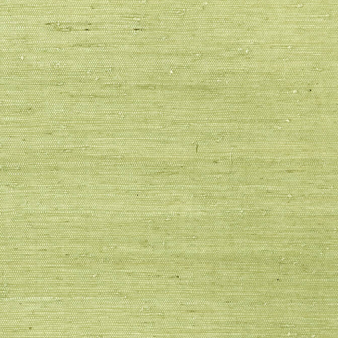 MARANTA ARROWROOT,Grasscloth Wallpaper
