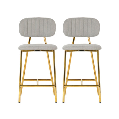 Ariana Grey Counter Stool (Set of 2)